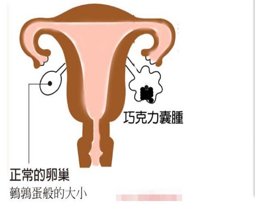 2024广州市妇幼保健院试管成功率参考,找对生殖医生喜当爹