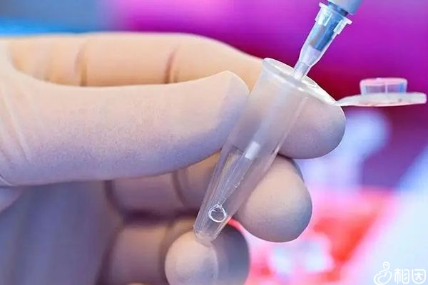 我国首例核型定位“PGD”正规代怀公司在沪出生