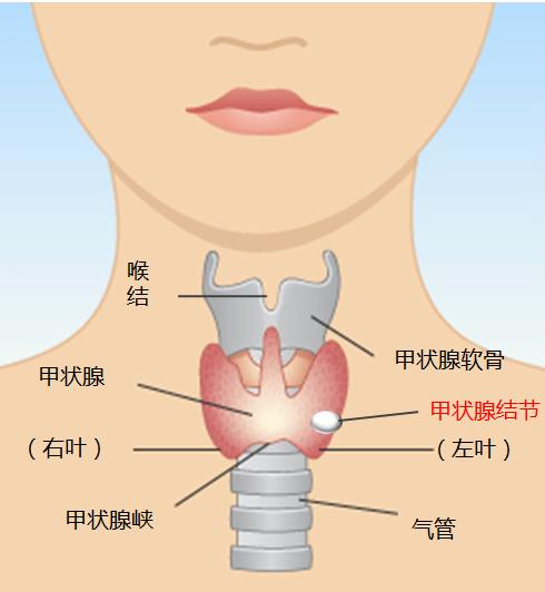 输卵管造成的不孕怎么办（可以治疗吗？）