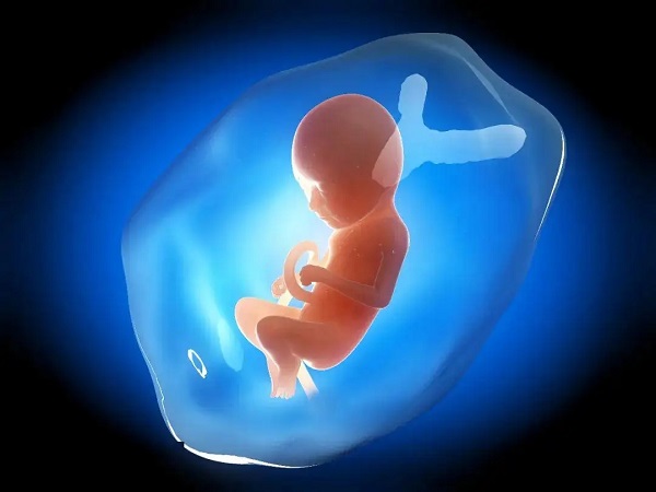 广州代生生子助孕机构医院如何正确选择